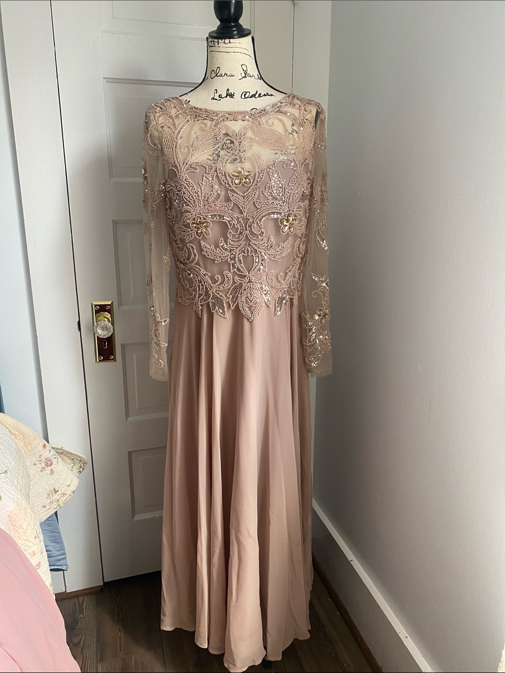 Embroidered Illusion Bodice Long Evening Dress in Blush